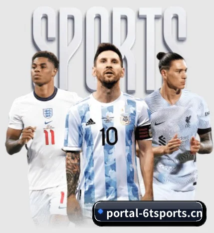 6T体育 APP 界面(6TSports)